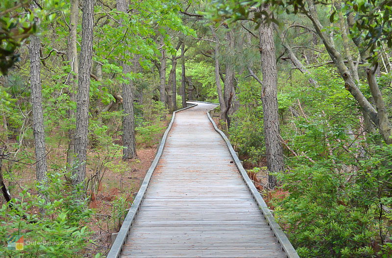 An elevated walking path in Currituck Banks  Estuarine Reserve