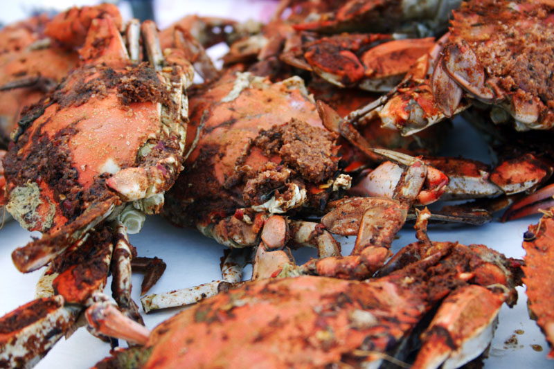 Delicious steamed crabs with old bay seasoning