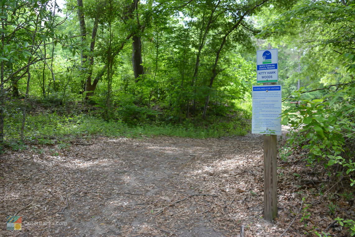 Kitty Hawk Woods trail