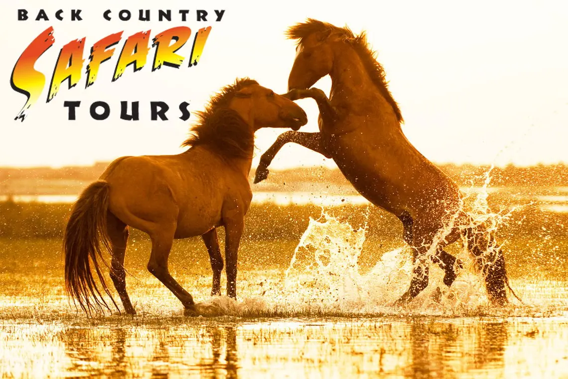 Surfing in the Outer Banks