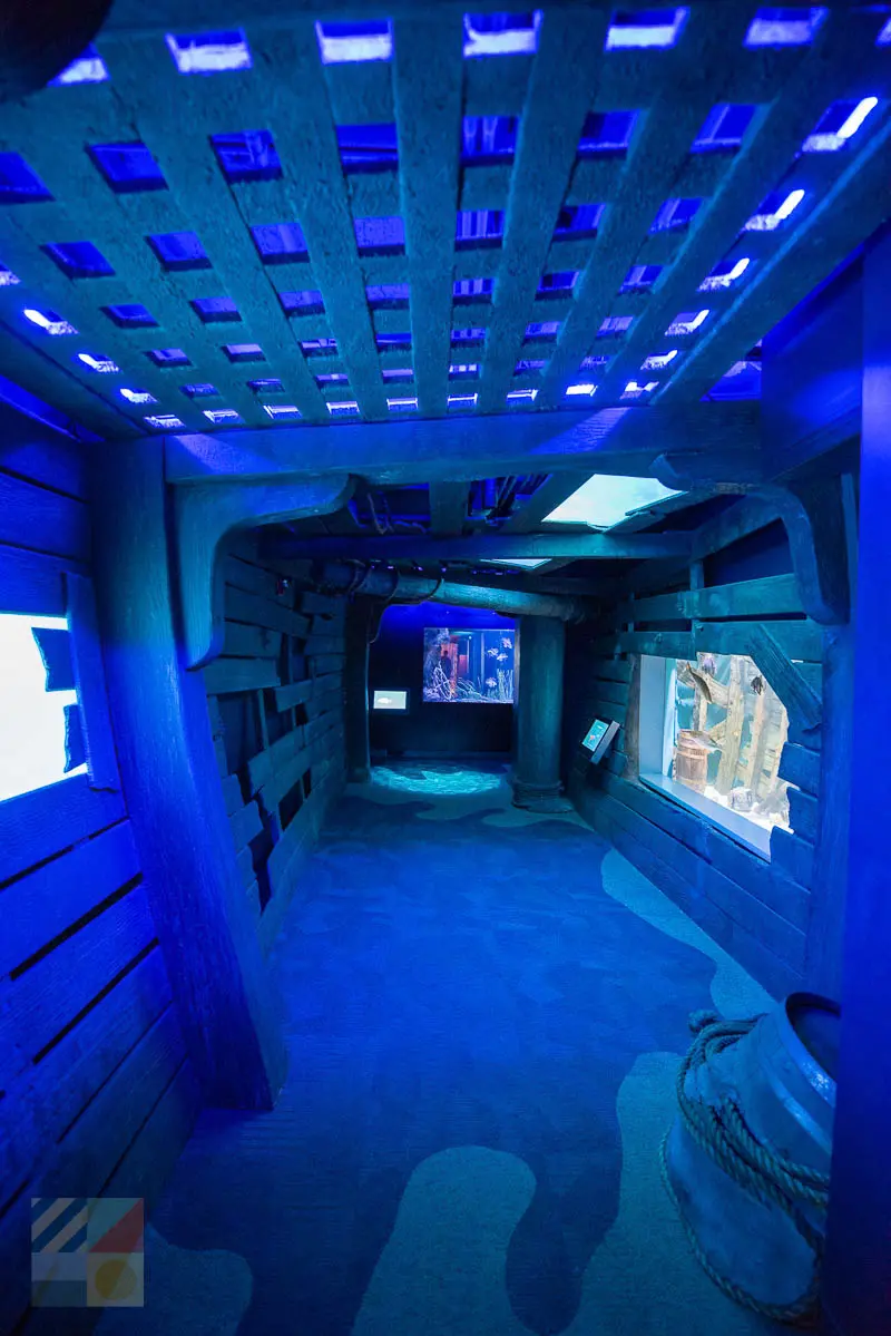 North Carolina Aquarium on Roanoke Island
