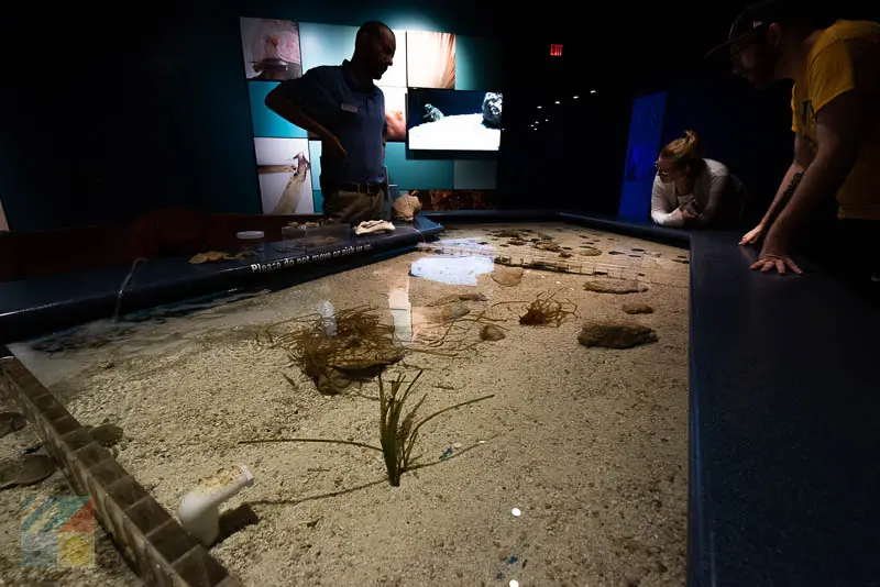 North Carolina Aquarium on Roanoke Island
