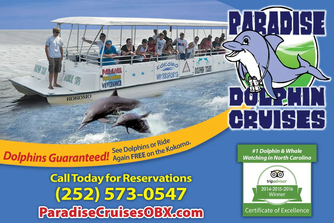 Paradise Dolphin Cruises