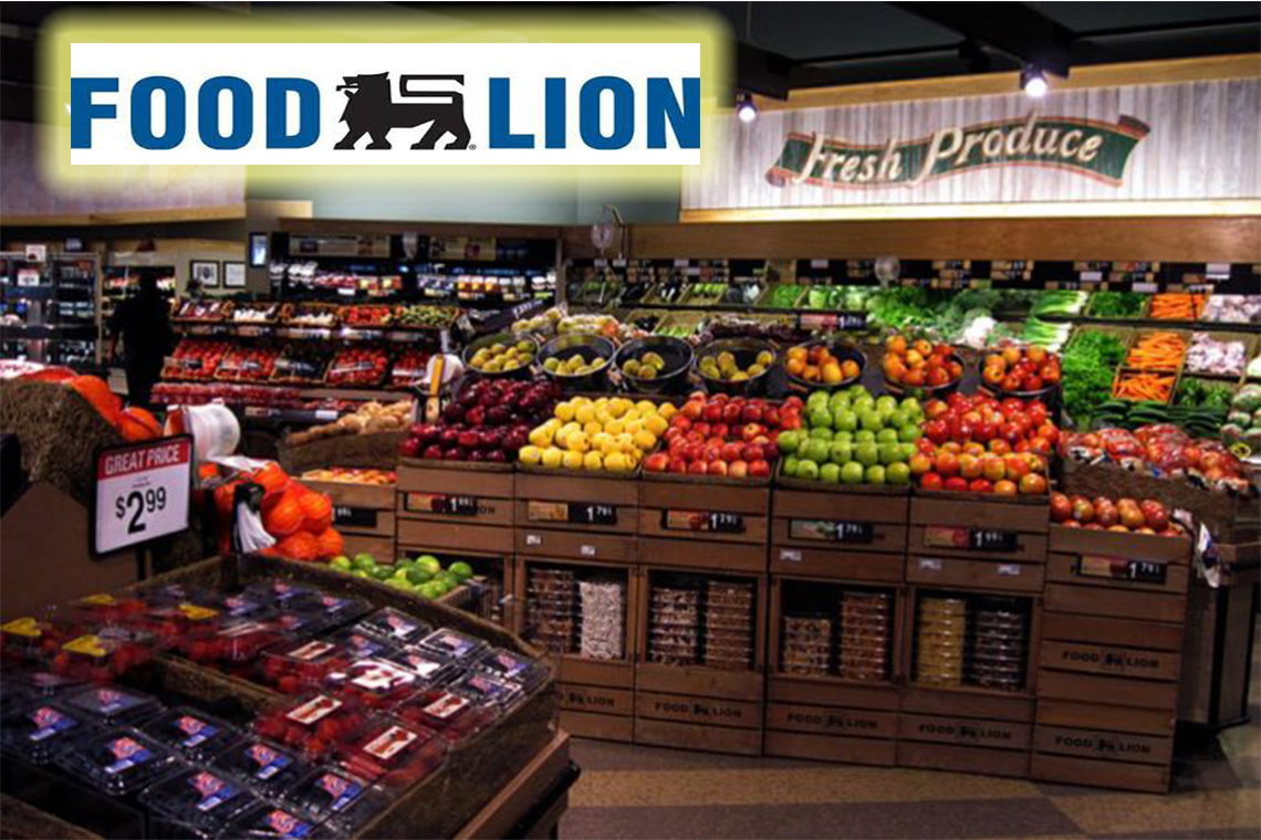 Food Lion In Milton Delaware