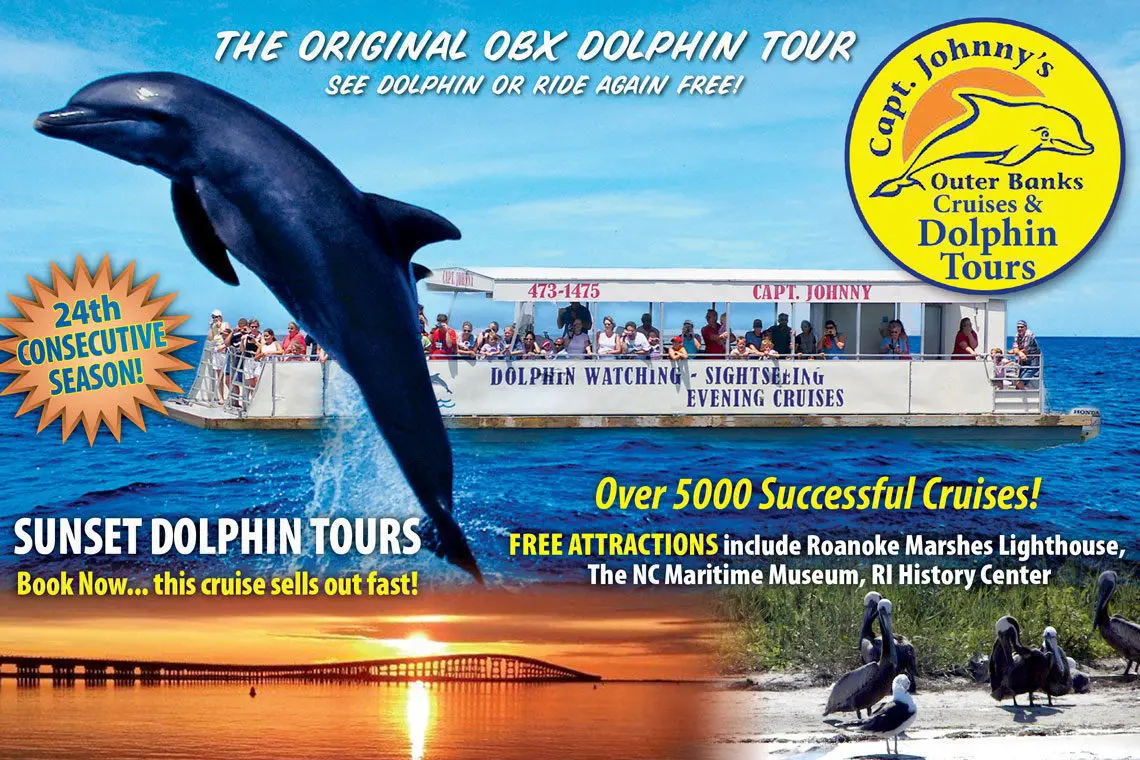 Johnny Dolphin Virginia Beach Johnny Dolphin Virginia Beach