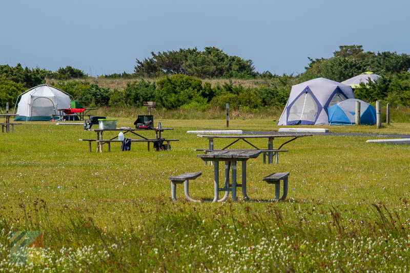 A tent site in Cape Hatteras National Seashore (Buxton)