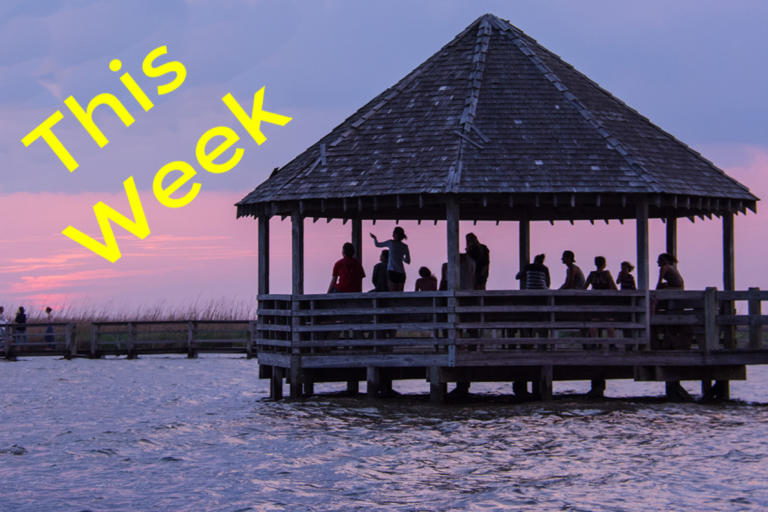 things to do this week: July 24th - July 30th - OuterBanks.com