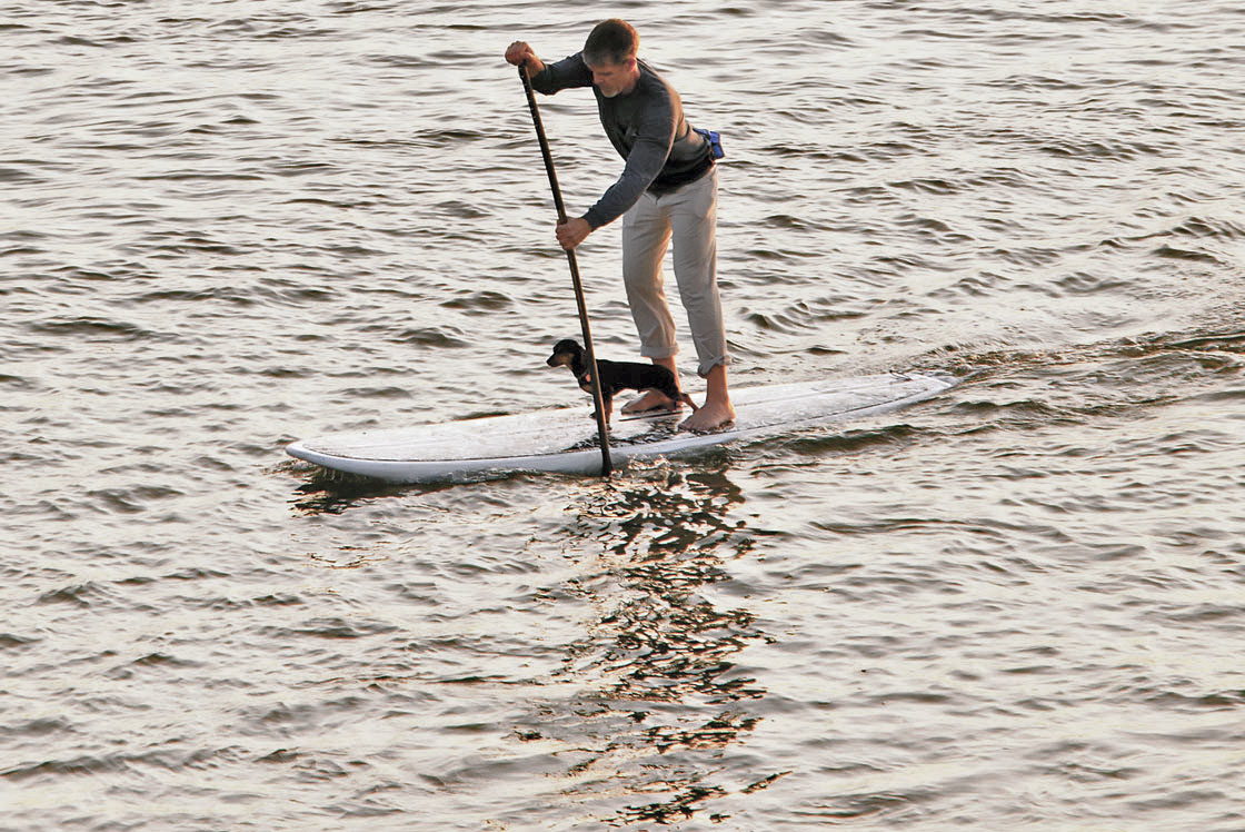 Stand-Up Paddle Boarding (SUP) - OuterBanks.com
