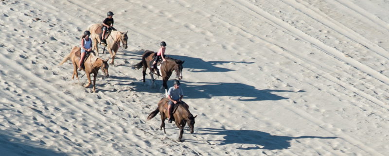 Horseback riding on the beach in Nags Head, NC