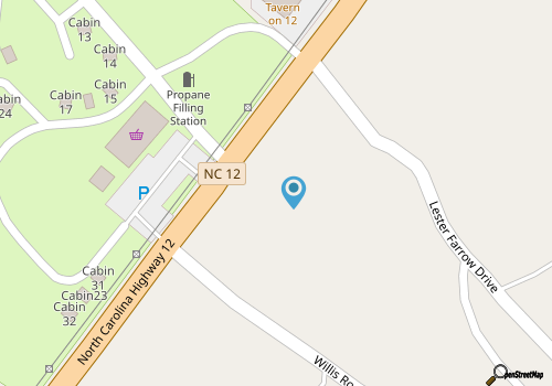 Rays Cart Rental LLC map location