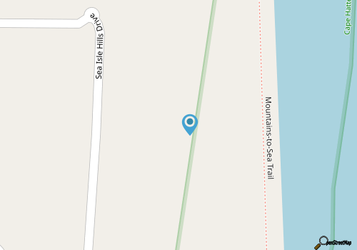 Dolphin Watch map location