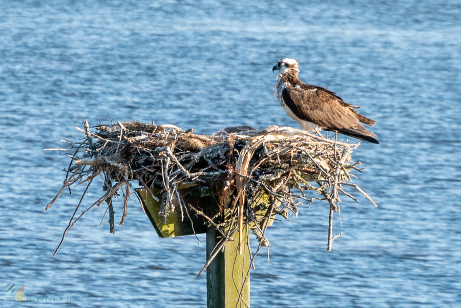 Currituck Sound