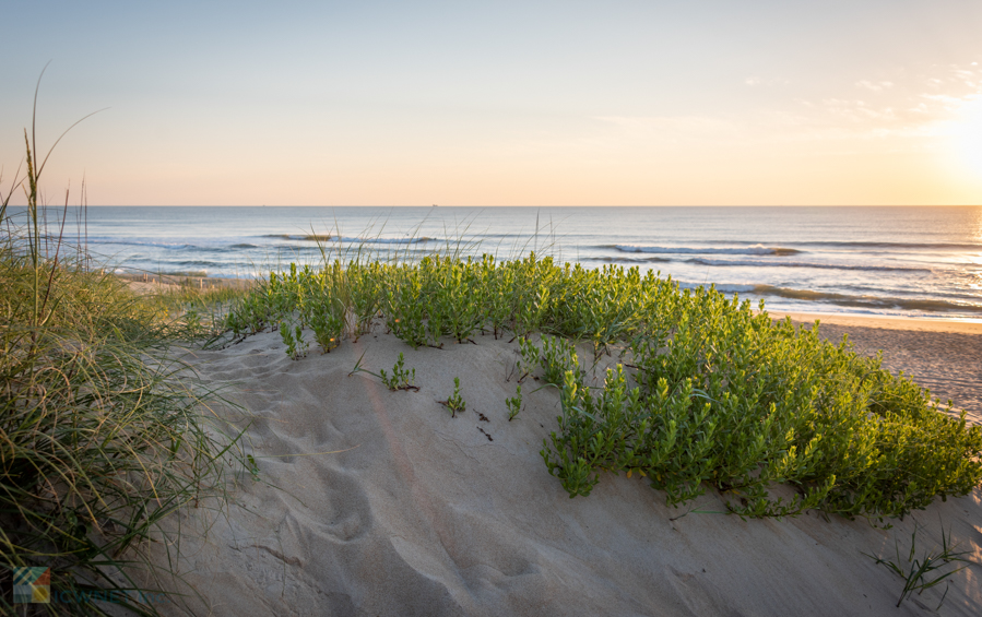 Nags Head NC beaches