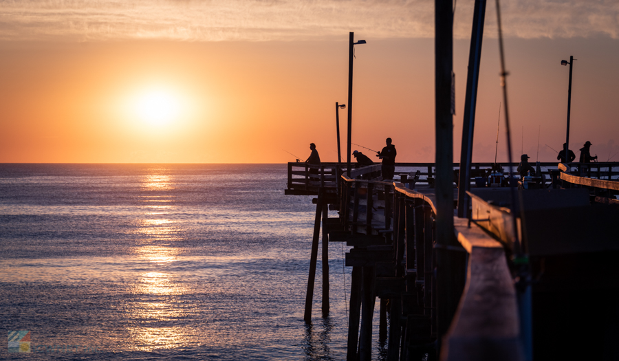 Pier fishing all year round