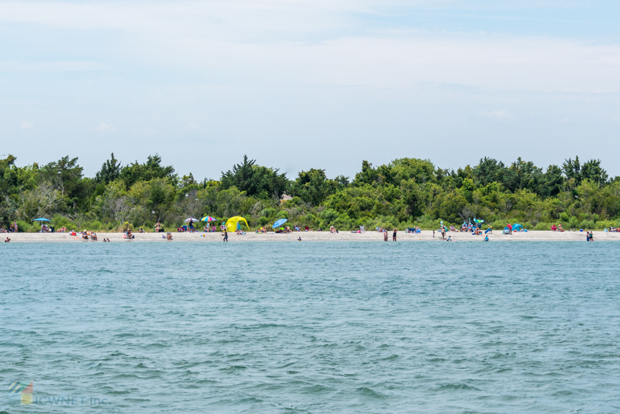 Rachel Carson Coastal Reserve in Beaufort NC