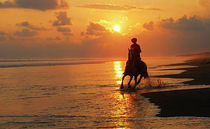 Outer Banks (OBX) Horseback