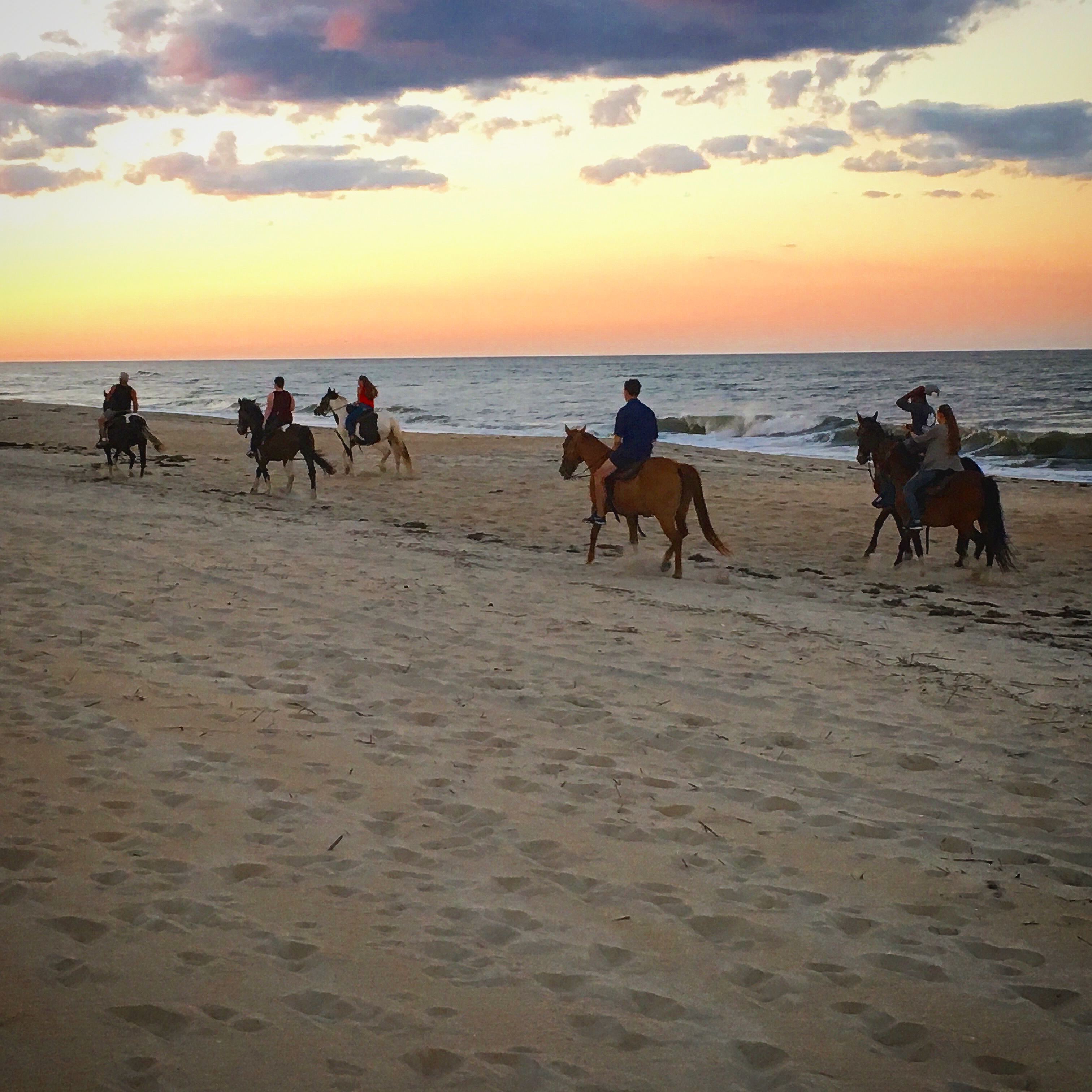 Outer Banks (OBX) Horseback