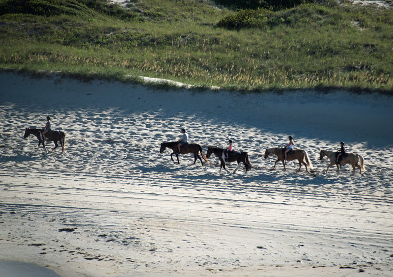 A horseback tour on the beach - Bodie Island