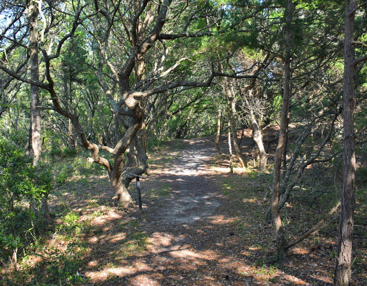 Buxton Woods Trail