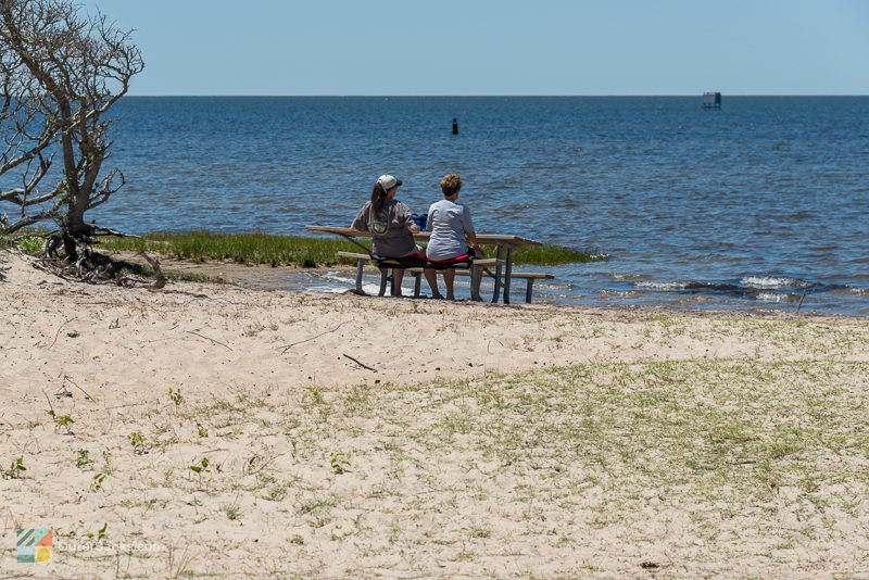 Picnicking on the sound