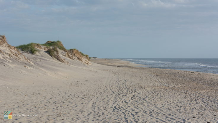 Pea Island Wildlife Refuge