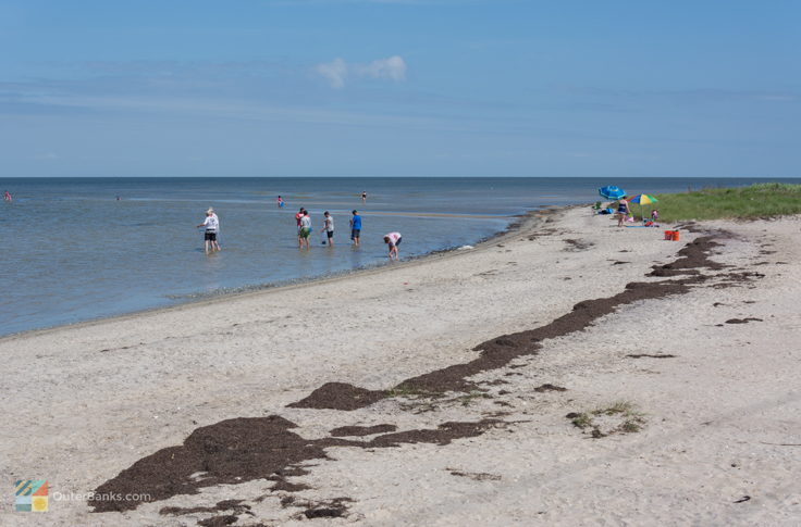 Soundside beach at Canadian Hole (south of Avon)