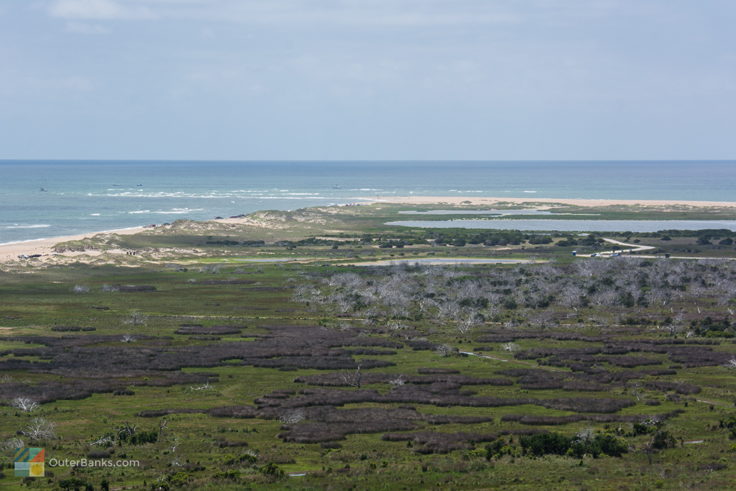 Buxton Woods and Cape Point