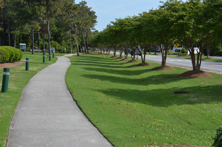 Bike path next to NC-12 in Corolla