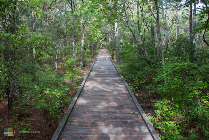 Currituck Banks Coastal Estuarine Reserve