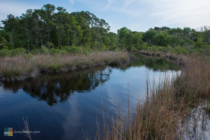 Currituck Banks Coastal Estuarine Reserve