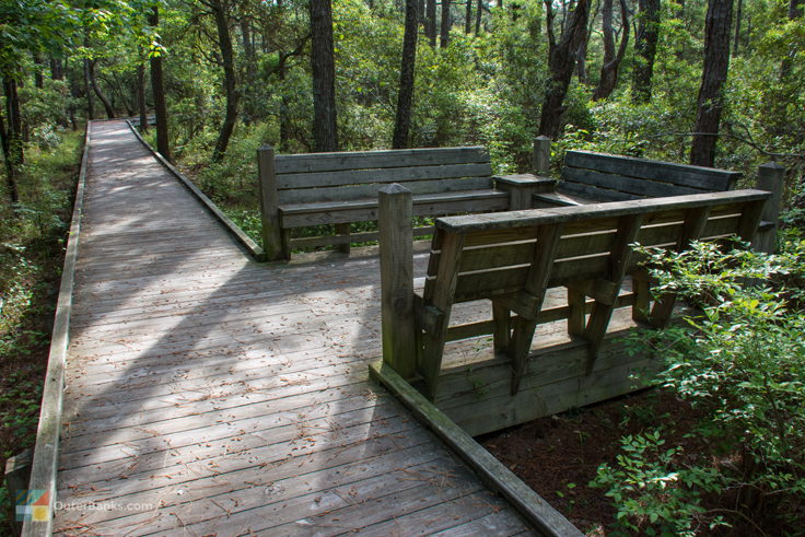 Currituck Banks Coastal Estuarine Reserve