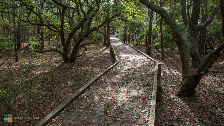 Currituck Banks Coastal Estuarine Reserve