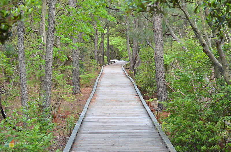An elevated walking path in Currituck Banks  Estuarine Reserve