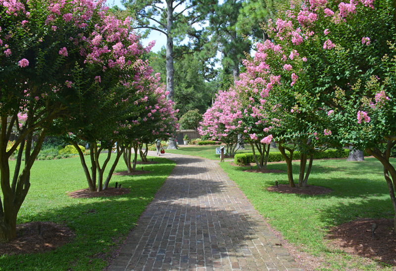 Manteo S Elizabethan Gardens Island Life Nc