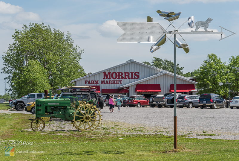 Morris Farm Market on route 168 in Maple NC