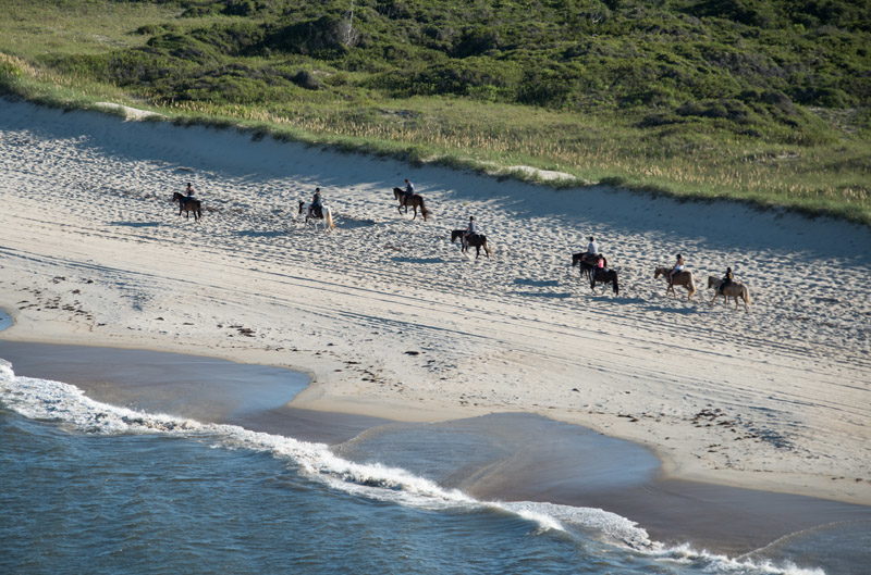Horseback beach tours on Hatteras Island
