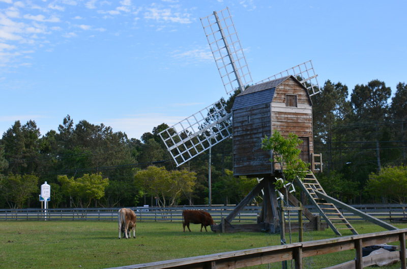 Island Farm in Manteo, NC