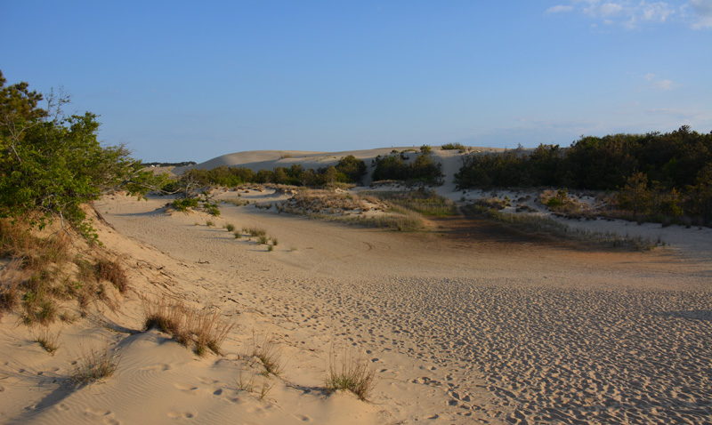 Jockey's Ridge State Park