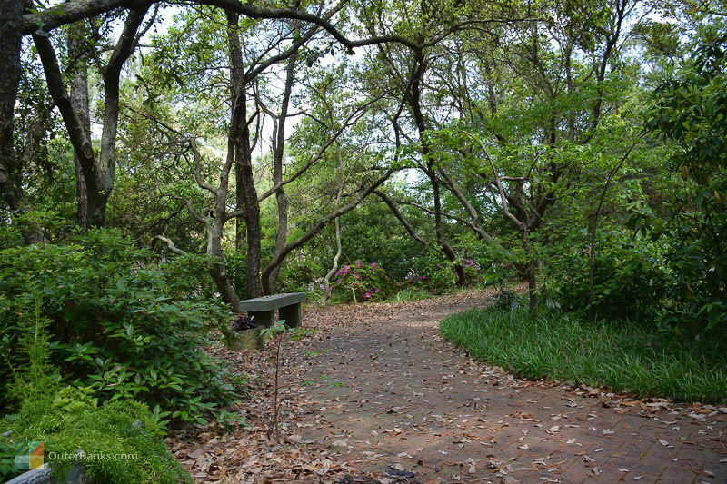 Outer Banks Arboretum and Teaching Garden