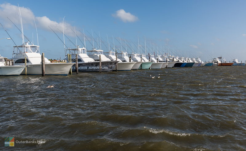 Outer Banks Fishing Season Chart