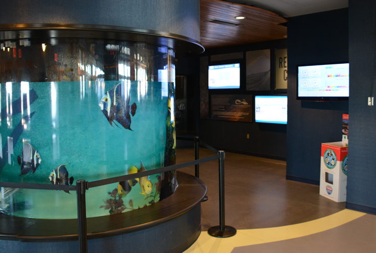 Jennette's Pier NC Aquarium exhibit