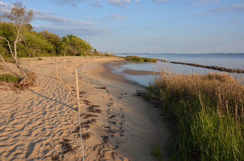 Soundfront beach in Nags Head Woods Ecological Preserve