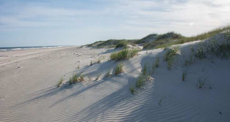 Portsmouth Island's wide-open beach