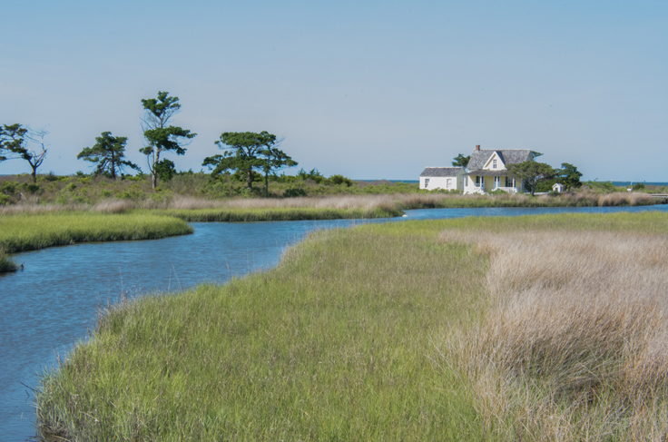 The Village at Portsmouth Island