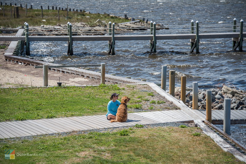 A dog with owner next to the sound on a windy day