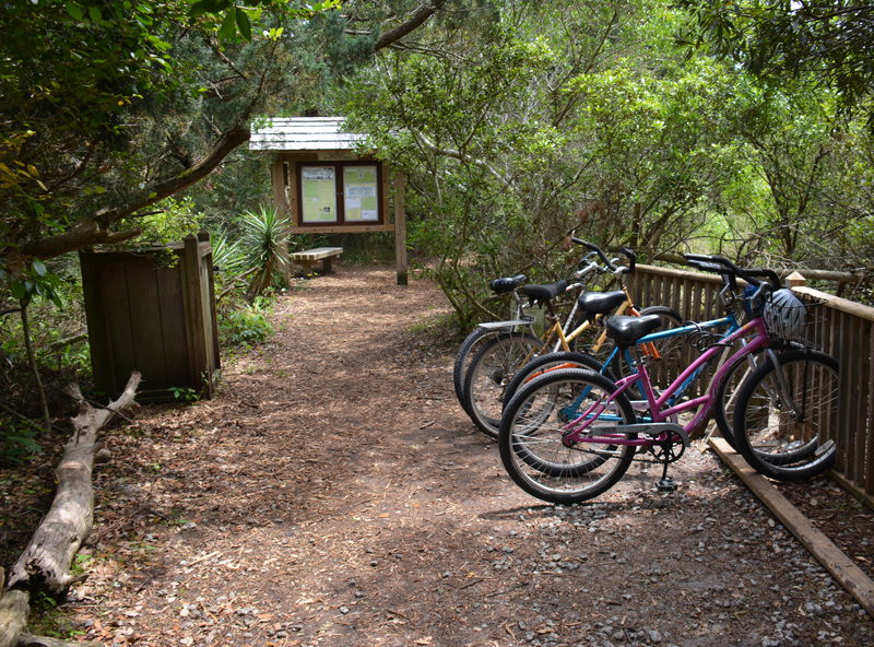 Springers Point Nature Preserve on Ocracoke Island