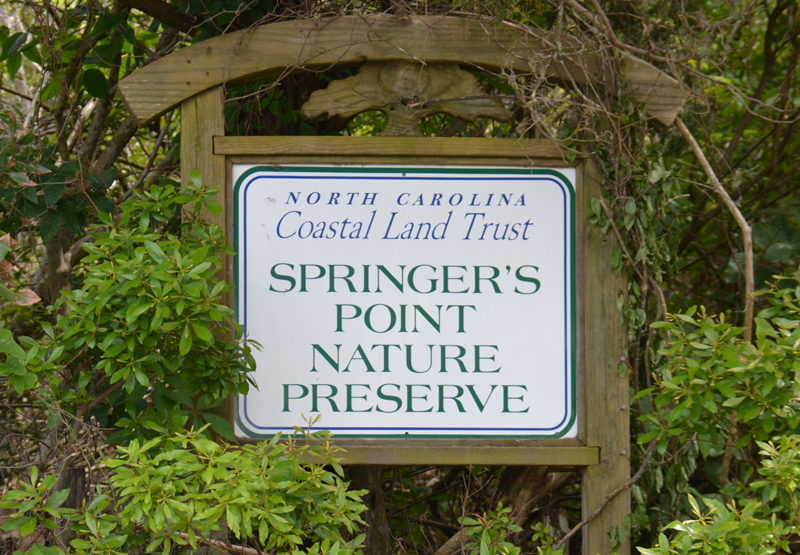 Springer's Point