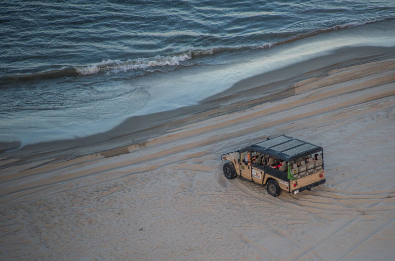 Outer Banks Wild Horse Tours