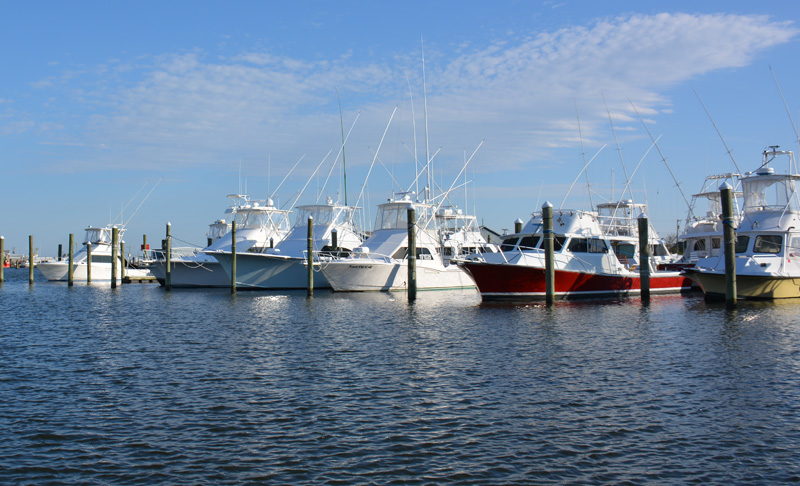 Wanchese, NC fishing boats