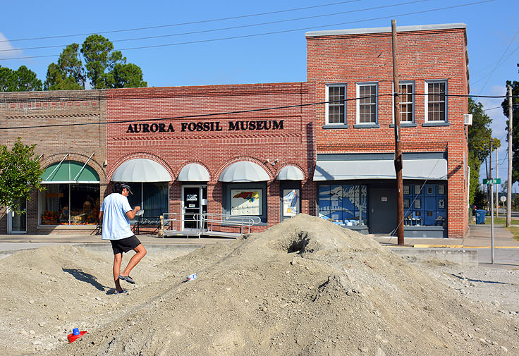 Aurora Fossil Museum building and park